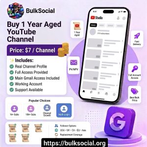 Buy 1 Year Aged YouTube Channel